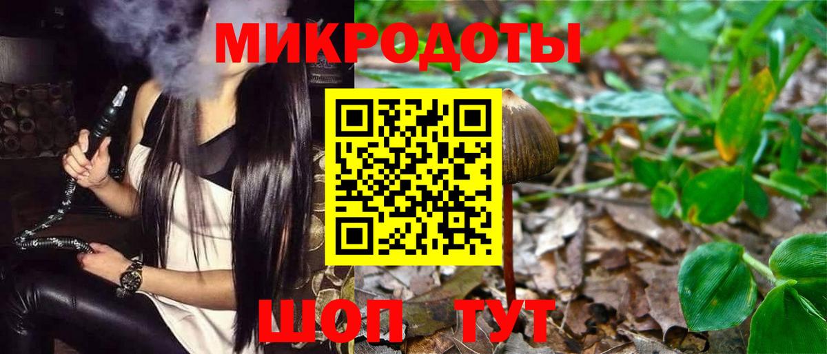 Галлюциногенные грибы Cubensis  Вход с VPN  Сертолово 