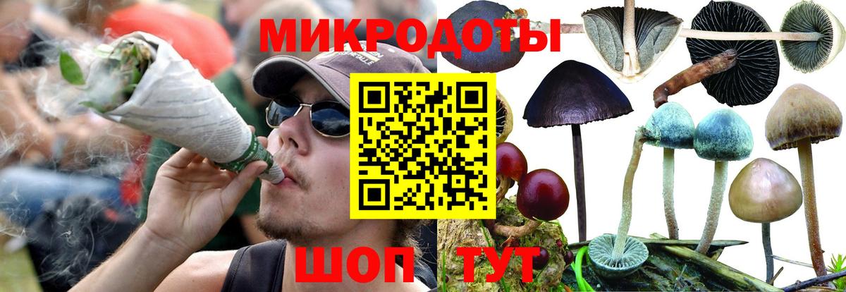 Галлюциногенные грибы прущие грибы Сертолово